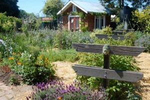 South Berkeley Paradise. Farm after installation. By Sequoiah Wachenheim