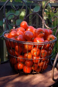 Basket of tomatoes by Sequoiah Wachenheim